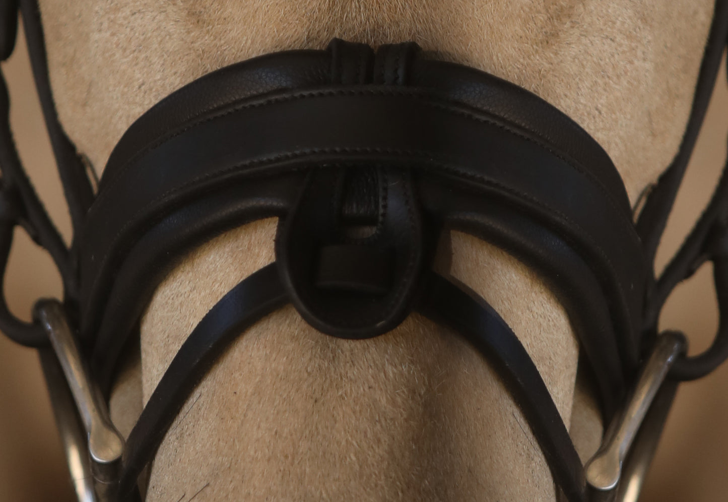 The Riviera: BLK