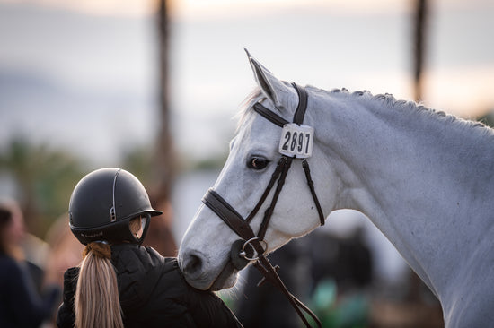 The Riviera Bridle - Full Custom