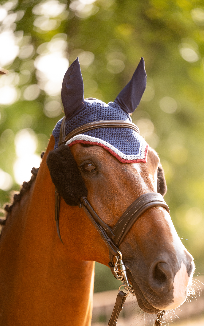 The Riviera Bridle - Full Custom