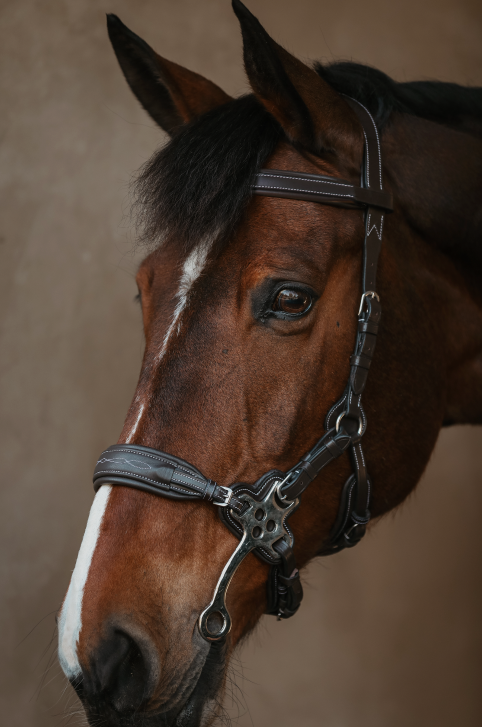 (Pre-Order) The Monarch Hackamore Bridle