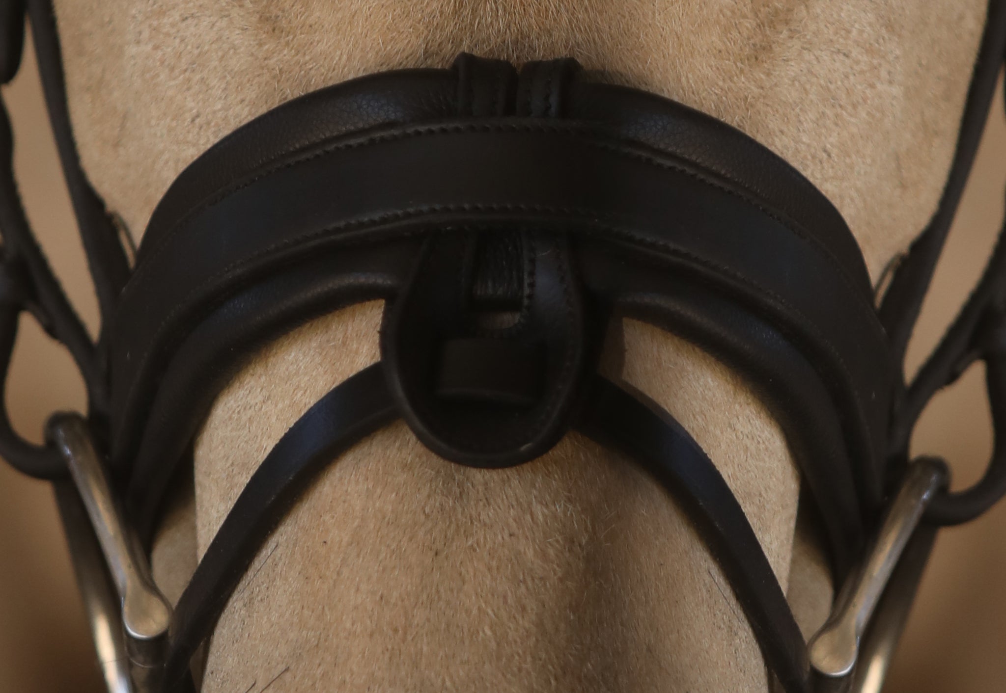 The Riviera: BLK