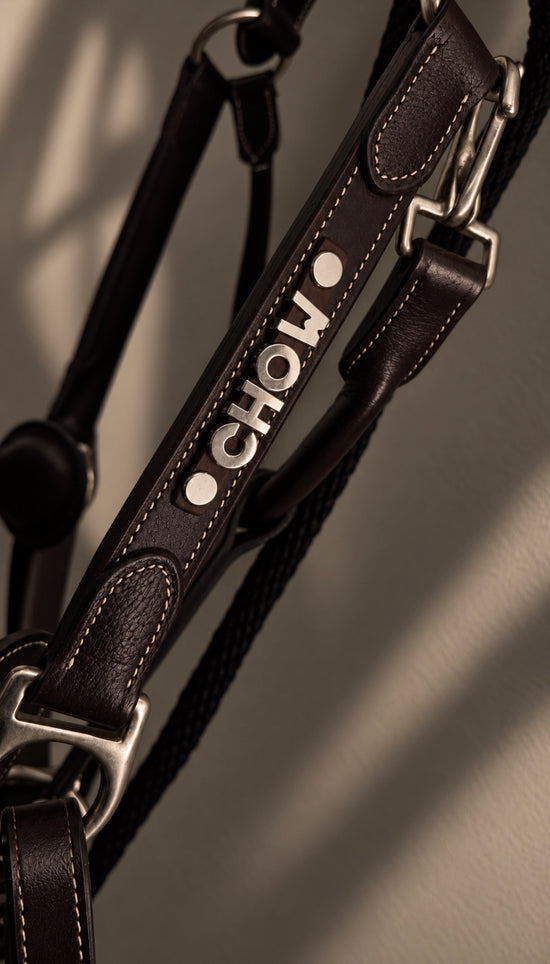 LTD Custom Letter Halter