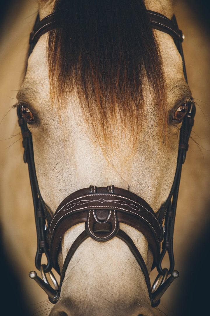 The Riviera Bridle - Full Custom