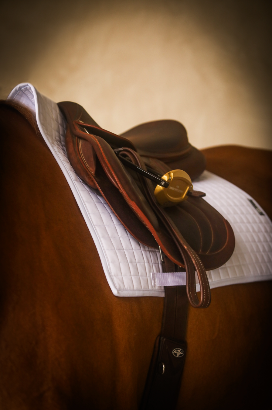 The Ergonomic Square Cut Saddle Pad - White