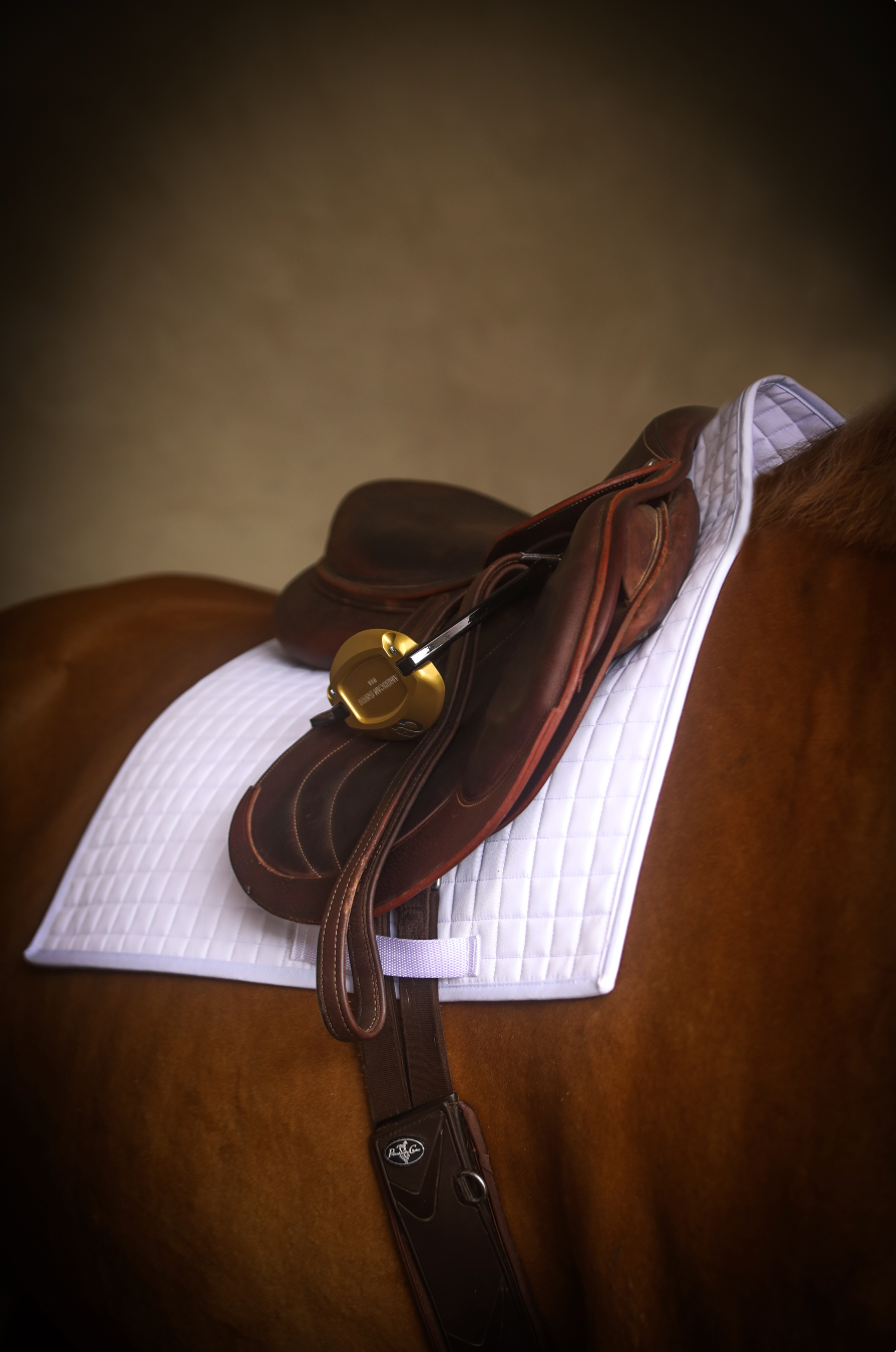 The Ergonomic Square Cut Saddle Pad - White