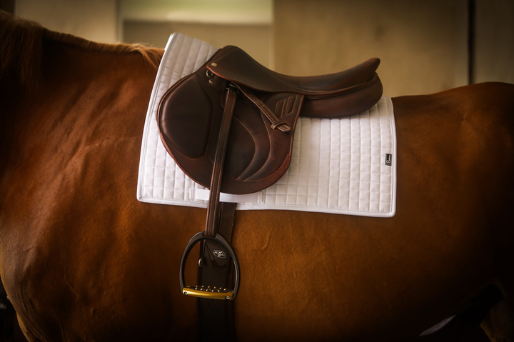 State Square Cut Saddle Pad