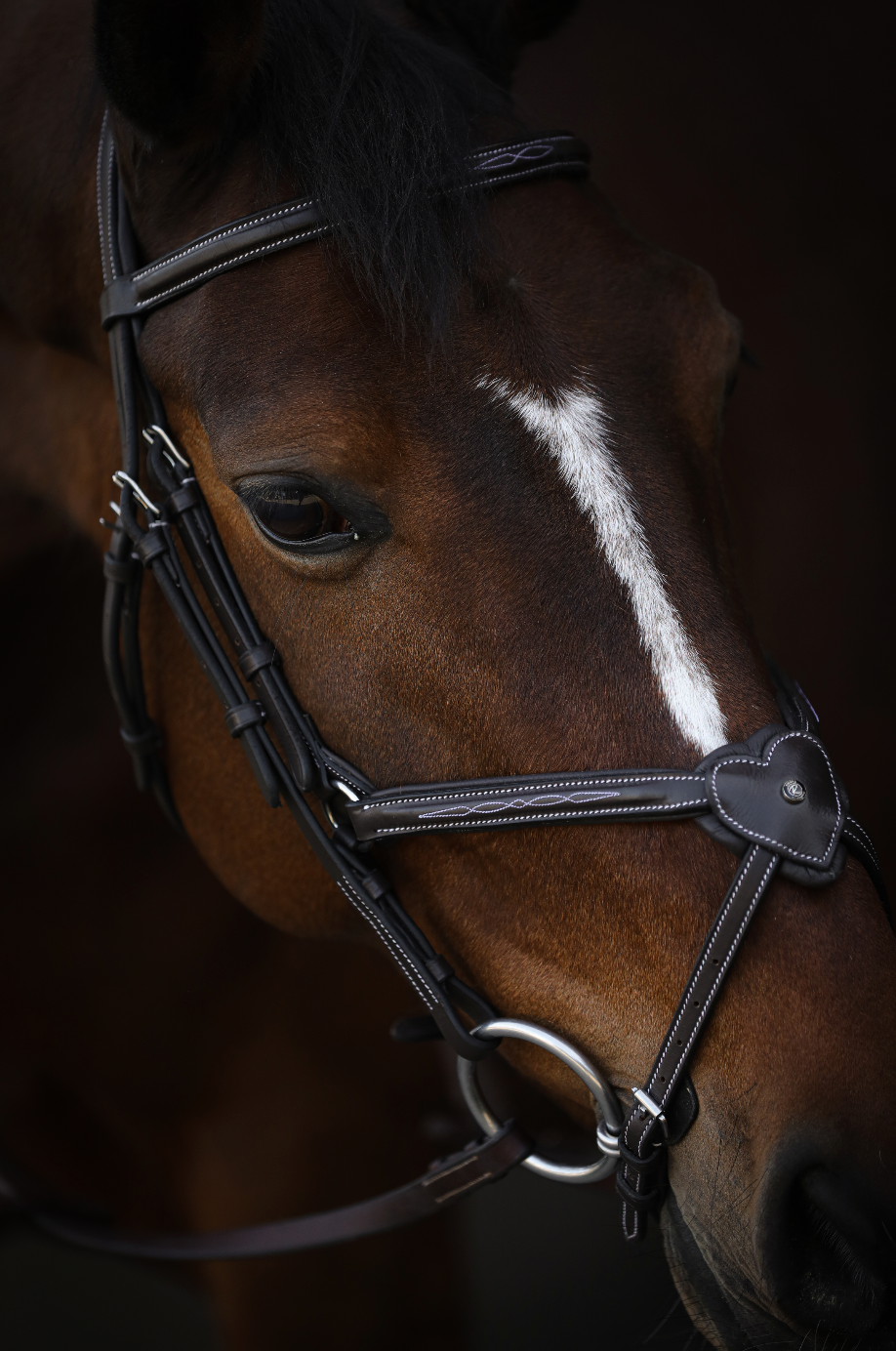 (Pre-Order) The Amor Figure 8 Ltd.