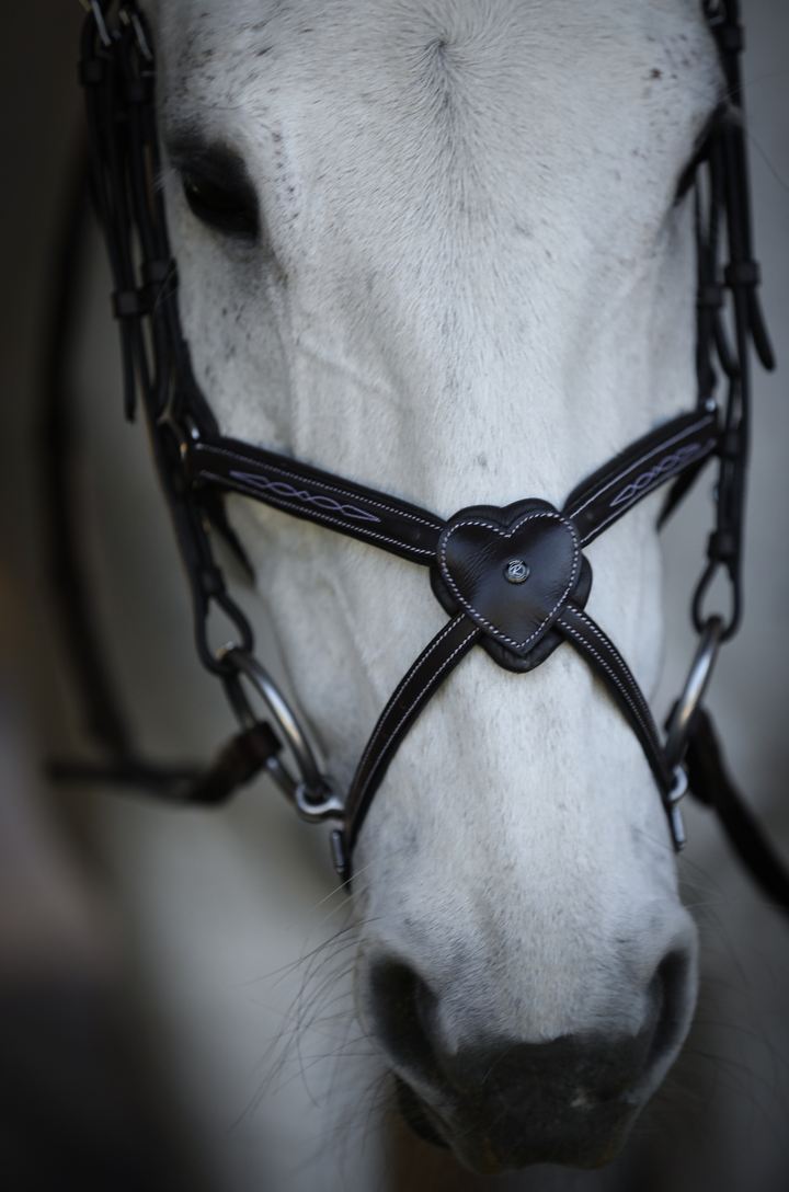 (Pre-Order) The Amor Figure 8 Ltd.