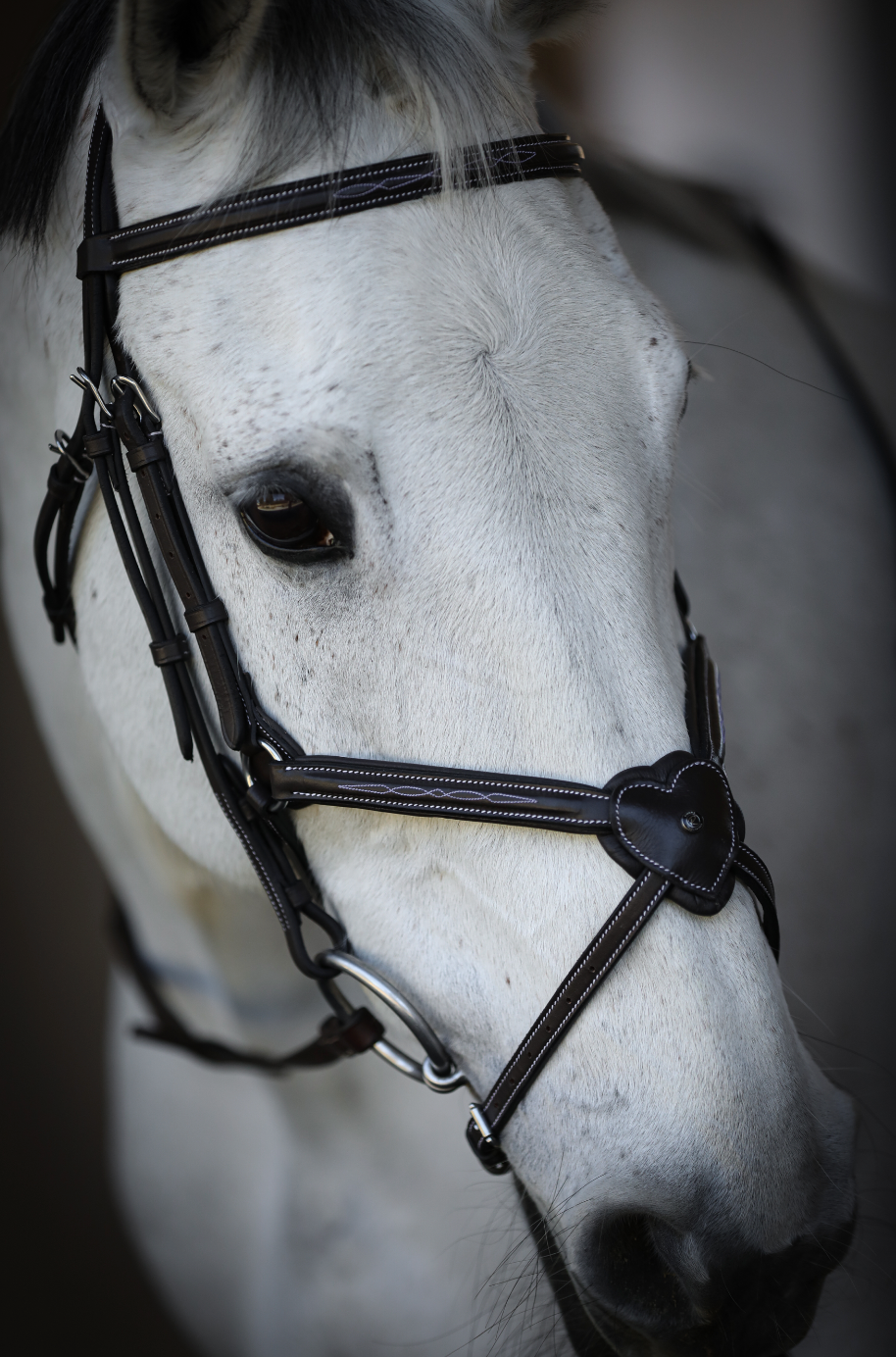 (Pre-Order) The Amor Figure 8 Ltd.