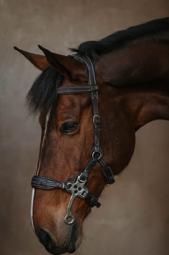(Pre-Order) The Monarch Hackamore Bridle