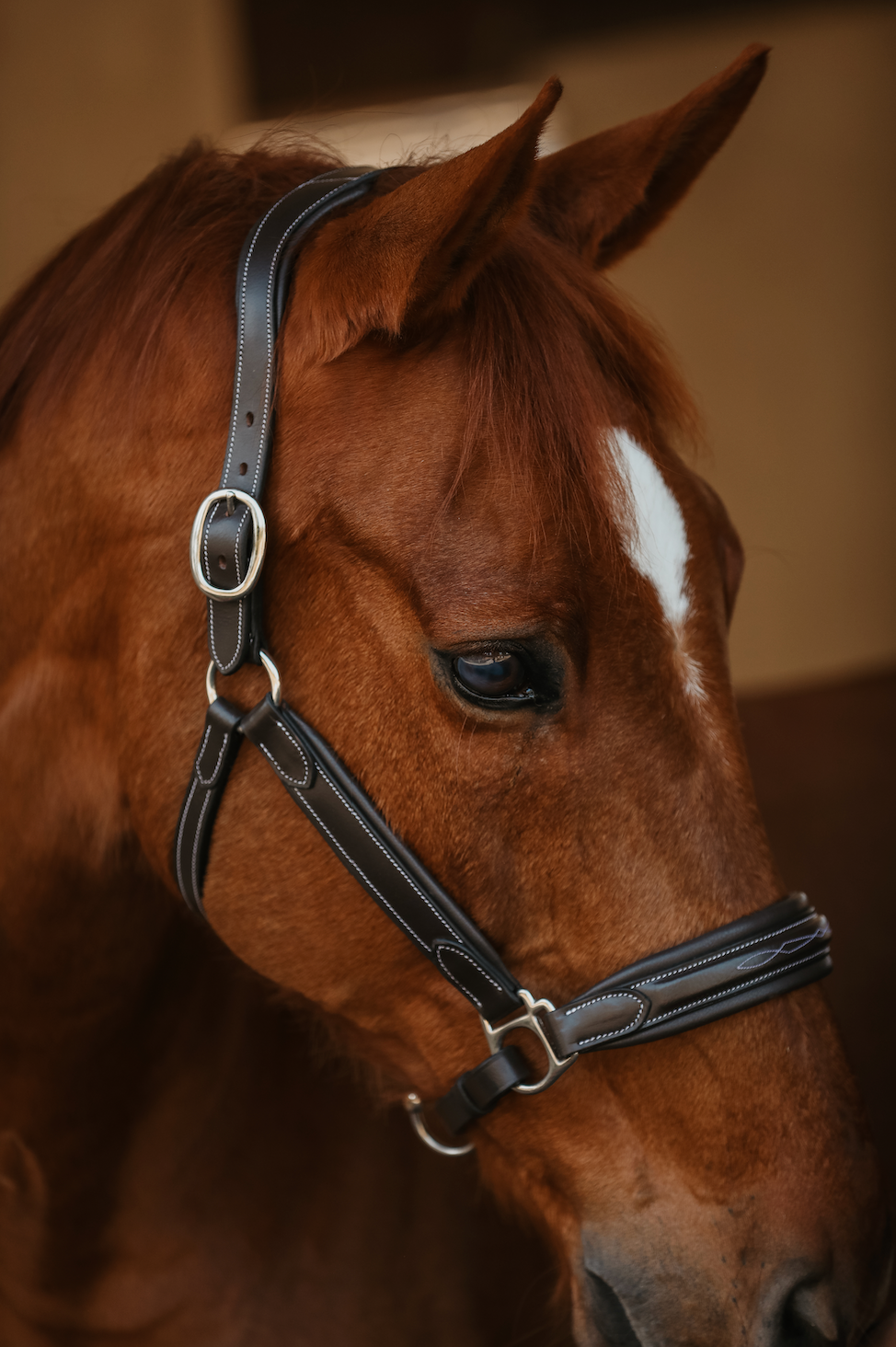 The Raised Riviera Halter