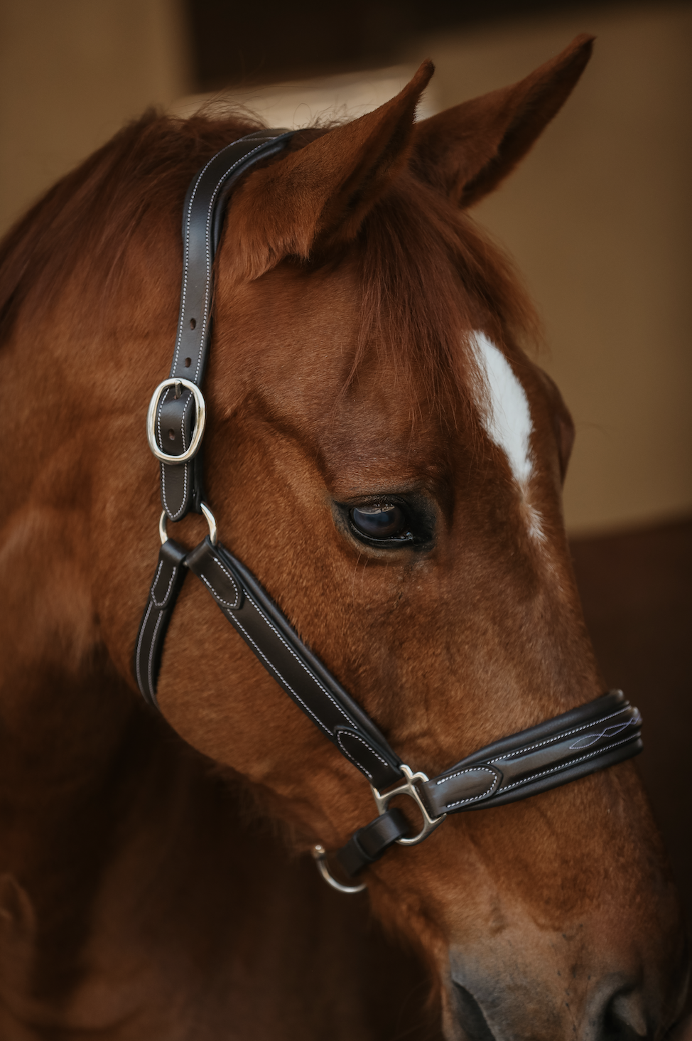 The Raised Riviera Halter
