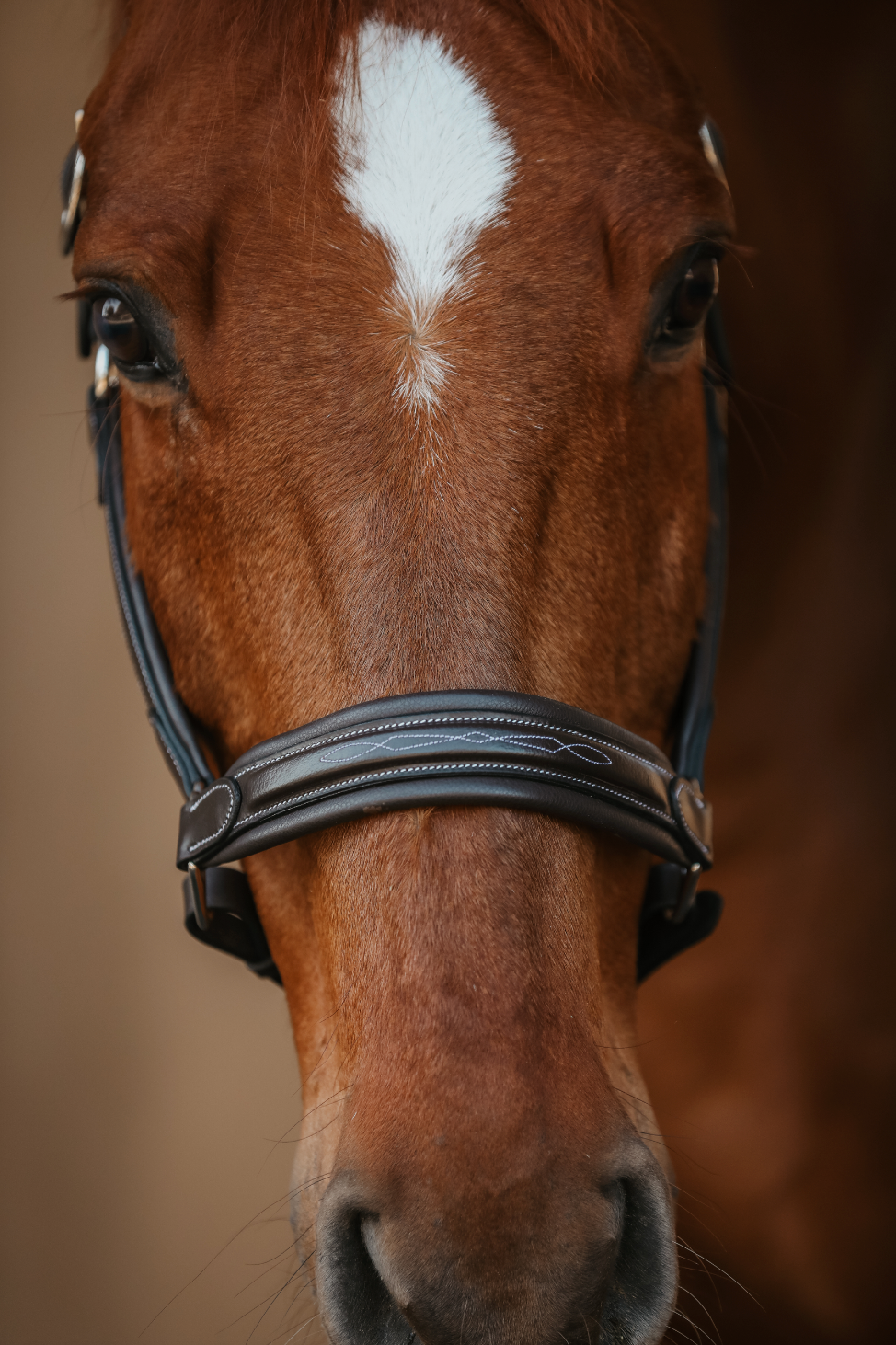 The Raised Riviera Halter
