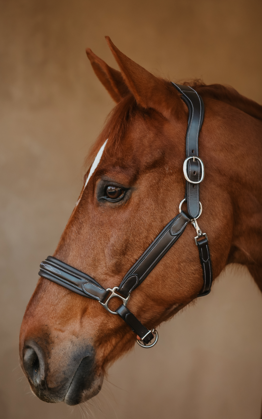 The Raised Riviera Halter