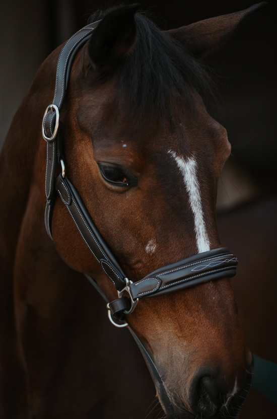 The Raised Riviera Halter