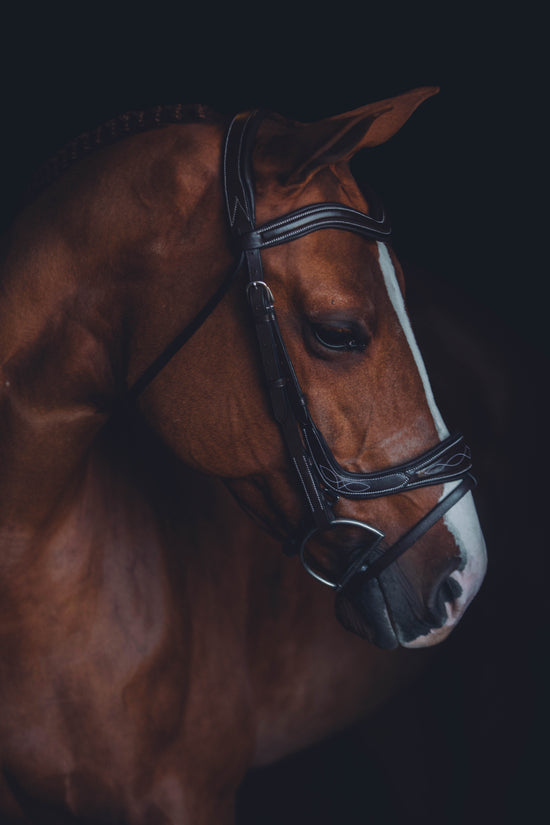 The Elysian Bridle - Full Custom