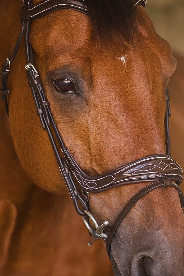 The Elysian Bridle - Full Custom