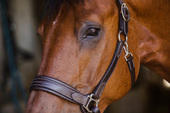 The Riviera Show Halter