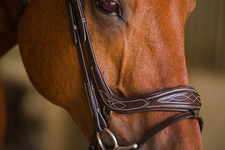 The Elysian Bridle - Full Custom