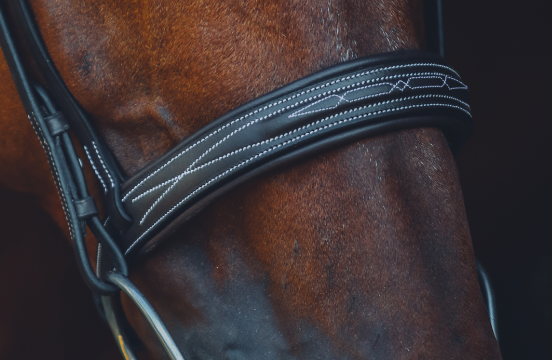 The Aspen Bridle - Full Custom