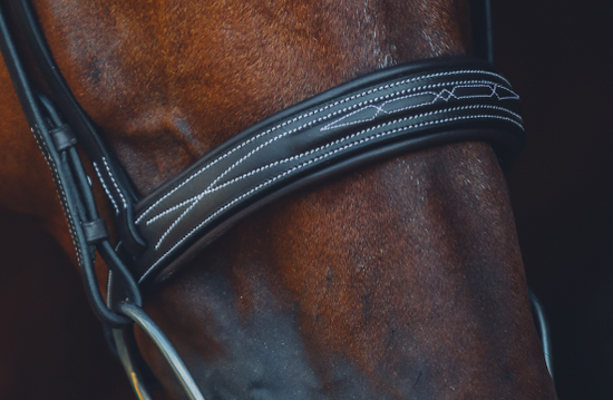 The Aspen Bridle - Full Custom