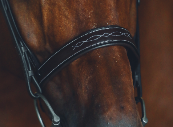 The Brentwood Bridle - Full Custom