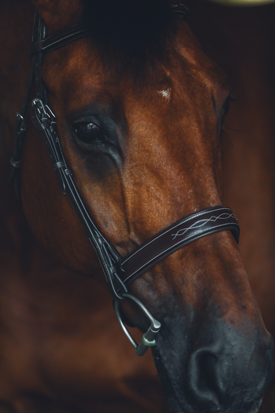 The Brentwood Bridle - Full Custom