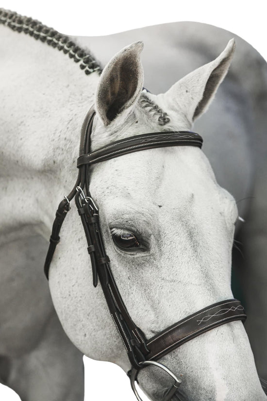 The Brentwood Bridle - Full Custom