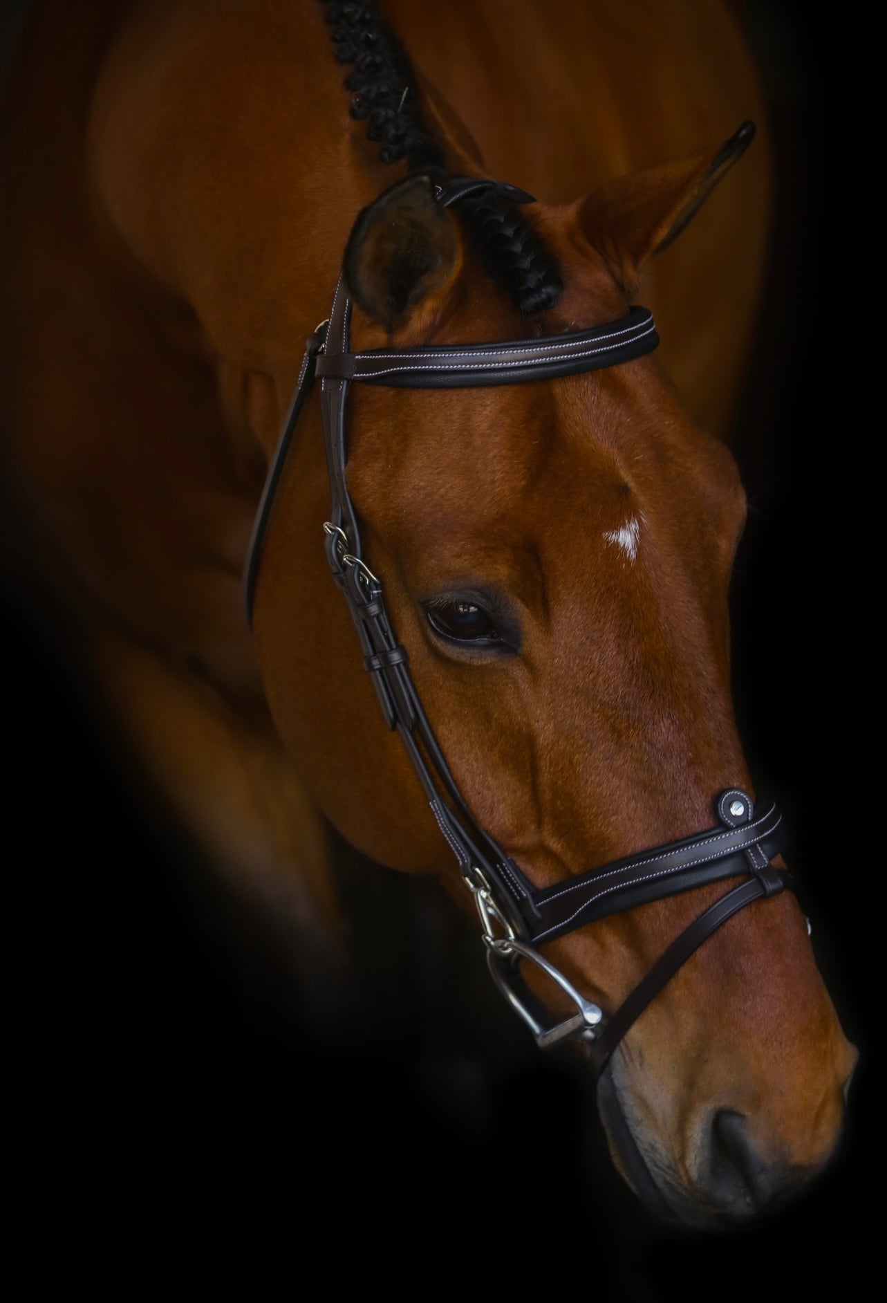 The Riviera Hack Bridle