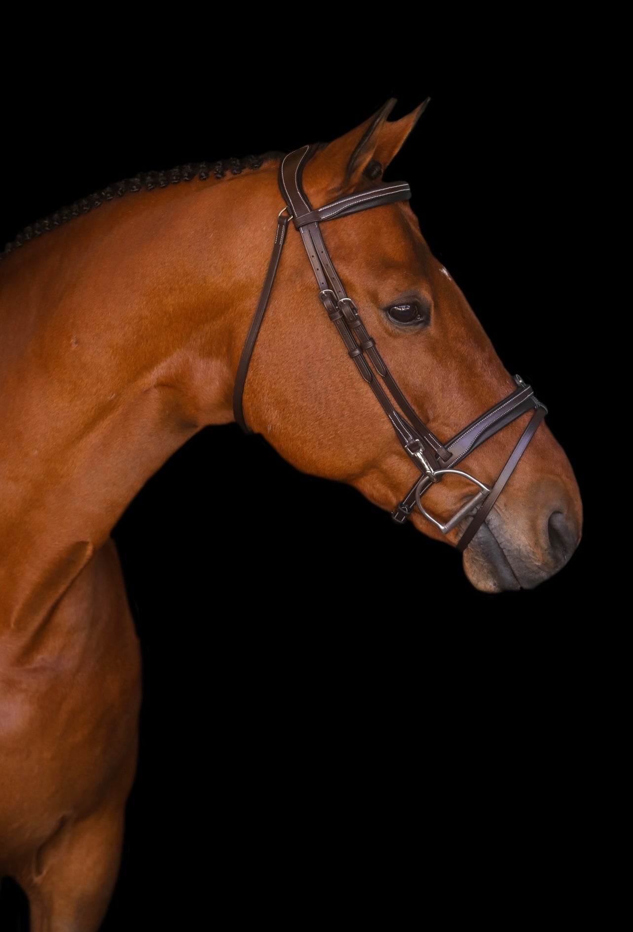 The Riviera Hack Bridle